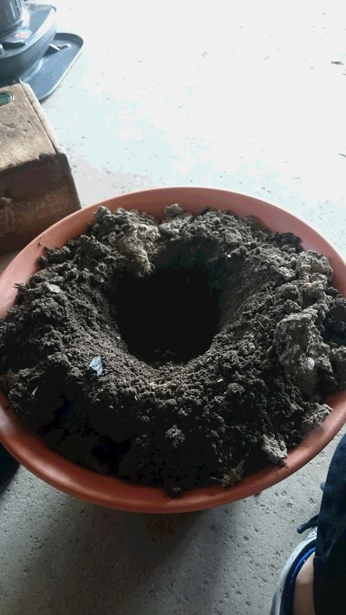 f:id:darjeeling12tf:20190504225031j:plain f:id:darjeeling12tf:20190504225031j:plain