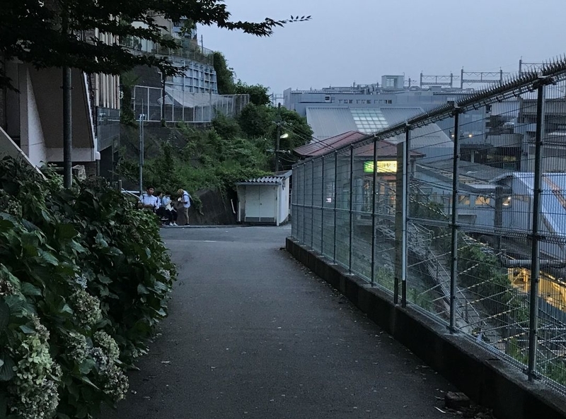 f:id:darkflameesper:20190729205925j:plain