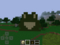 Frog Sightings