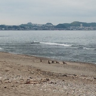 f:id:darkness-s:20240610203813j:image f:id:darkness-s:20240610203813j:image