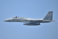 [戦闘機]2009百里基地航空際 F-15J