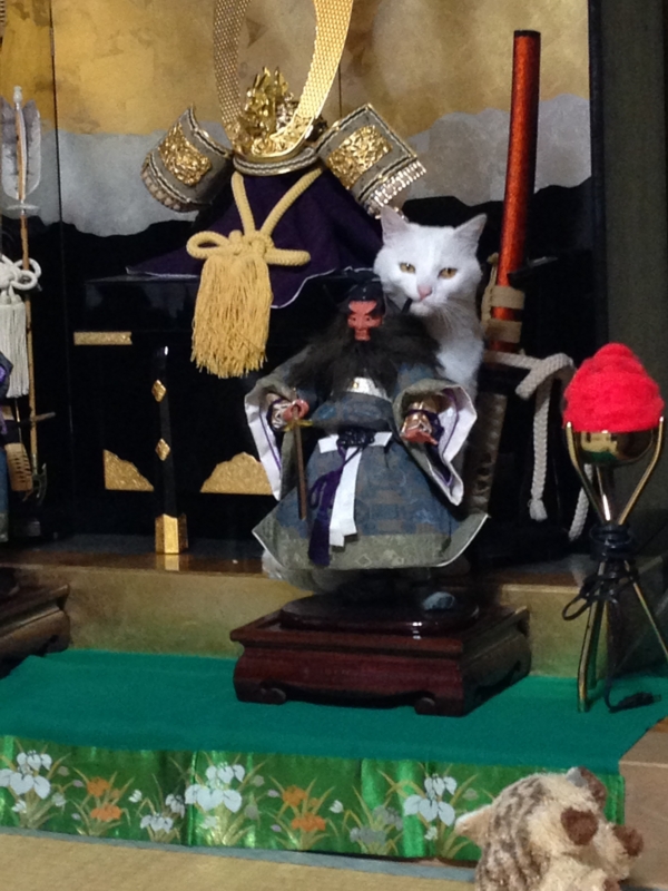 f:id:darknighting:20130505222337j:image