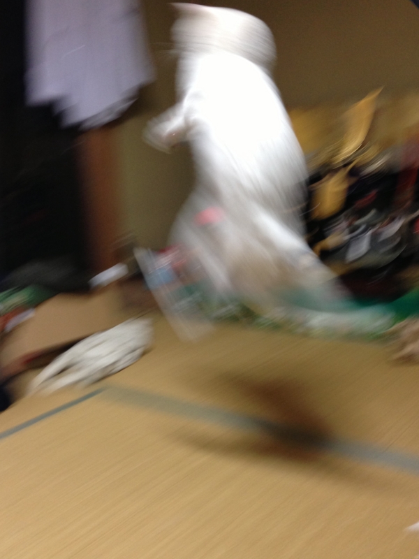 f:id:darknighting:20130505222347j:image