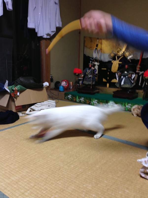 f:id:darknighting:20130505222357j:image