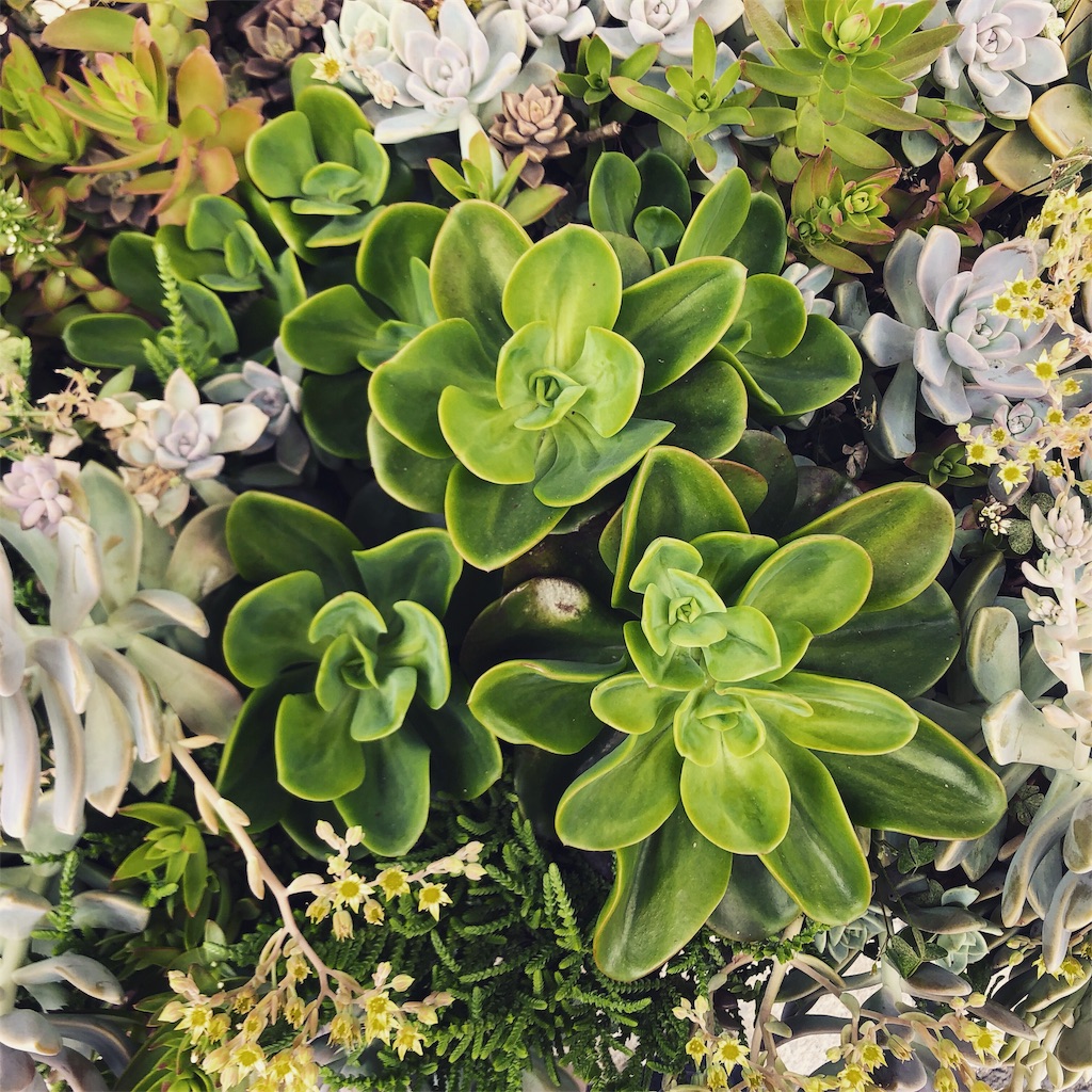 f:id:darksideofthemoon:20190522062841j:image f:id:darksideofthemoon:20190522062841j:image