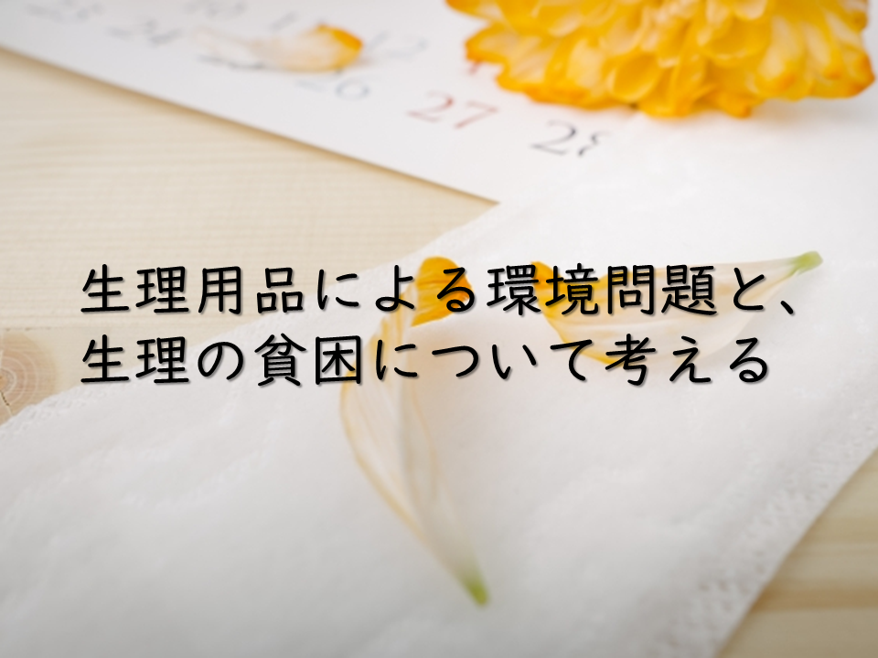 生理用品による環境問題と、生理の貧困について考える