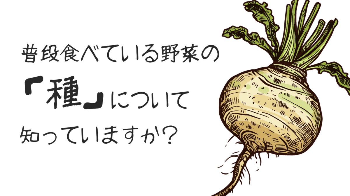 普段食べている野菜の種について知っていますか