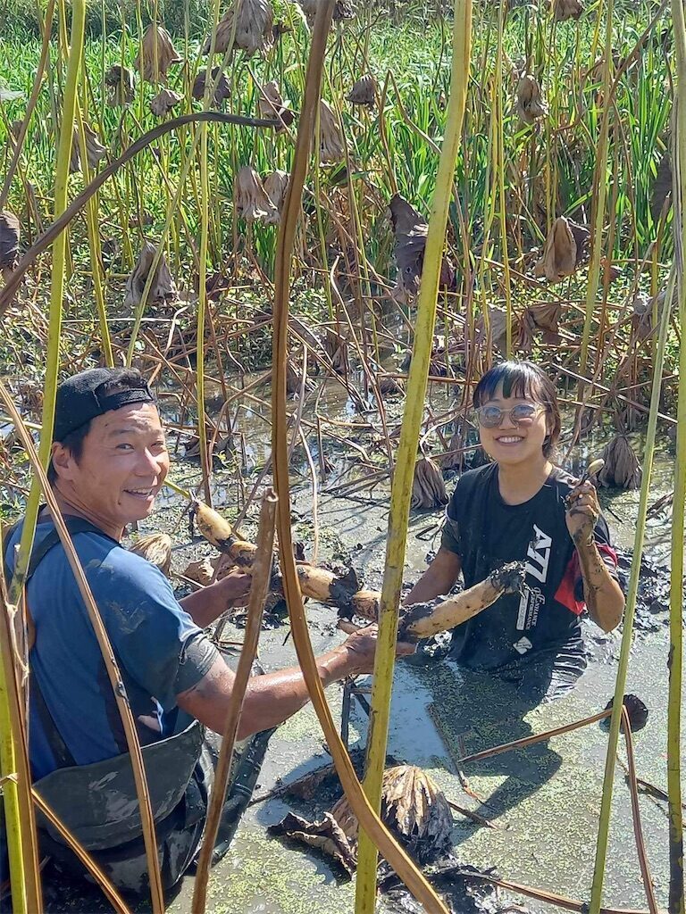 f:id:darlaph:20260206201257j:image