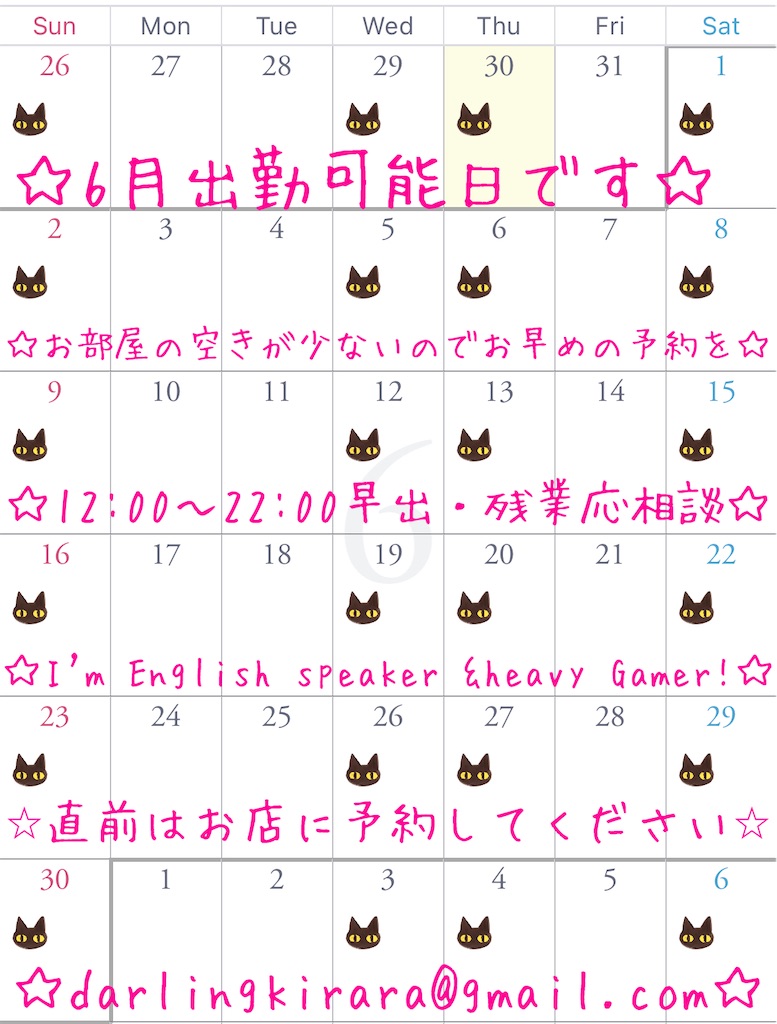 f:id:darlingkirara:20240612093454j:image