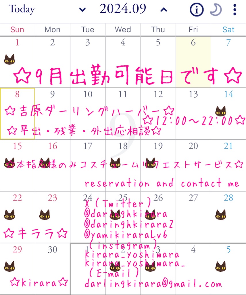 f:id:darlingkirara:20240908155343j:image