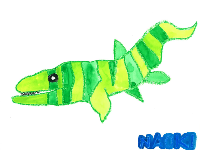 東田直樹 自閉症の僕の七転び八起き 感想 かたちを作るブログ