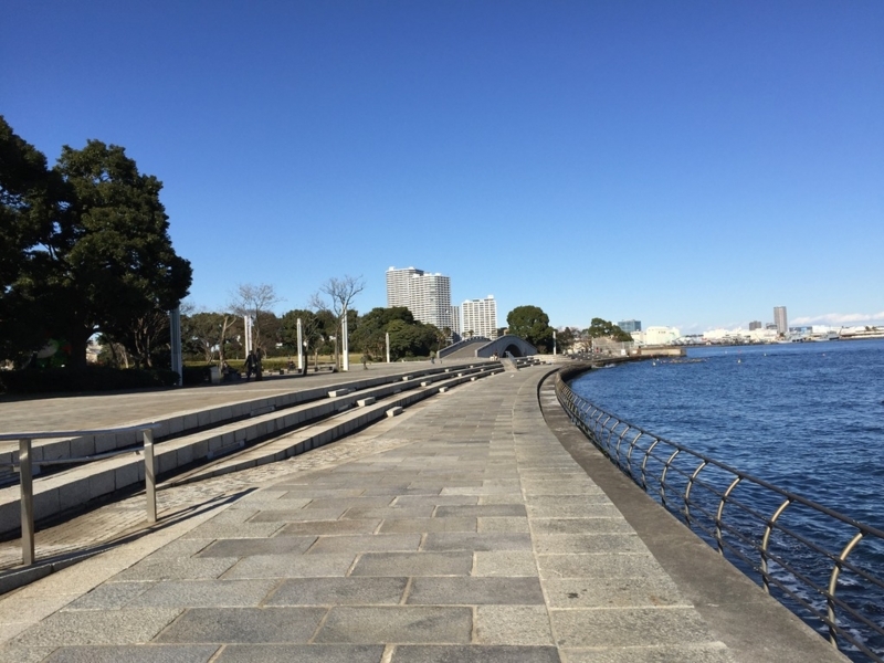 画像を等倍で表示します 画像