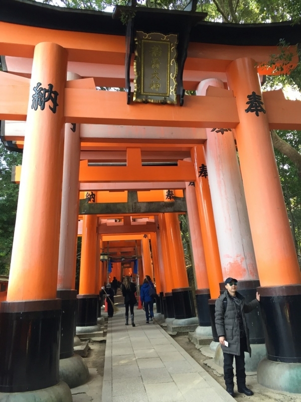 画像を等倍で表示します 画像