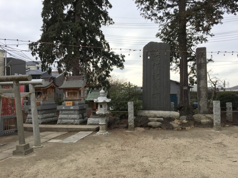 画像を等倍で表示します 画像