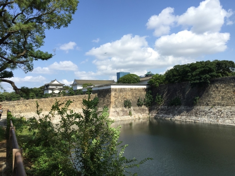 画像を等倍で表示します 画像