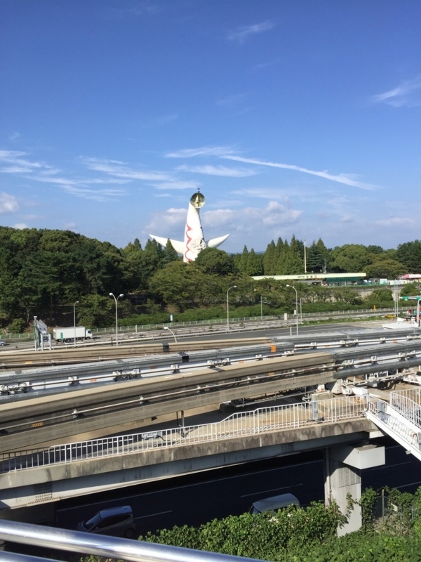 画像を等倍で表示します 画像