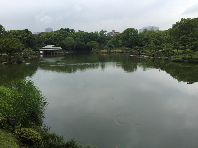 画像を等倍で表示します 画像