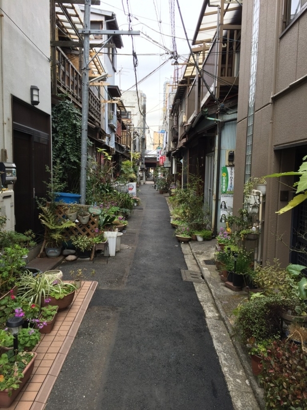 画像を等倍で表示します 画像