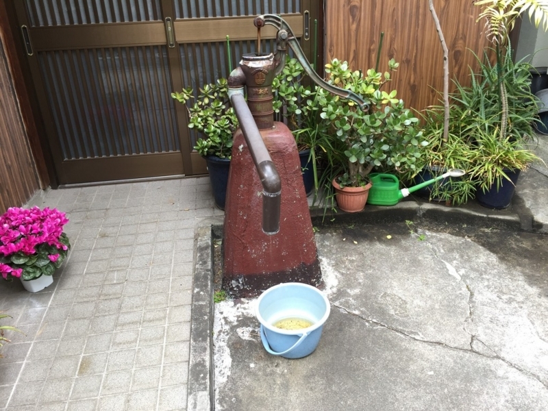 画像を等倍で表示します 画像