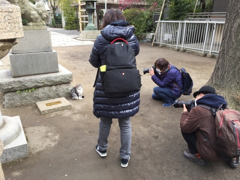 画像を等倍で表示します 画像