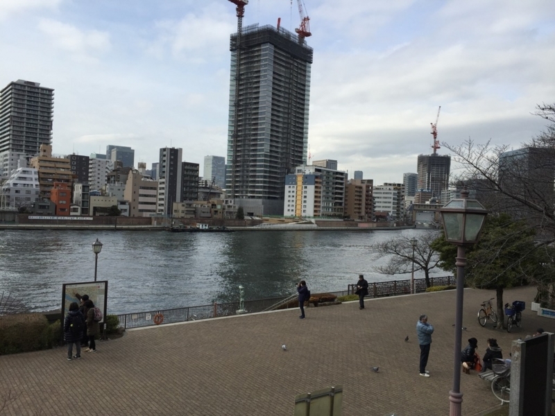 画像を等倍で表示します 画像
