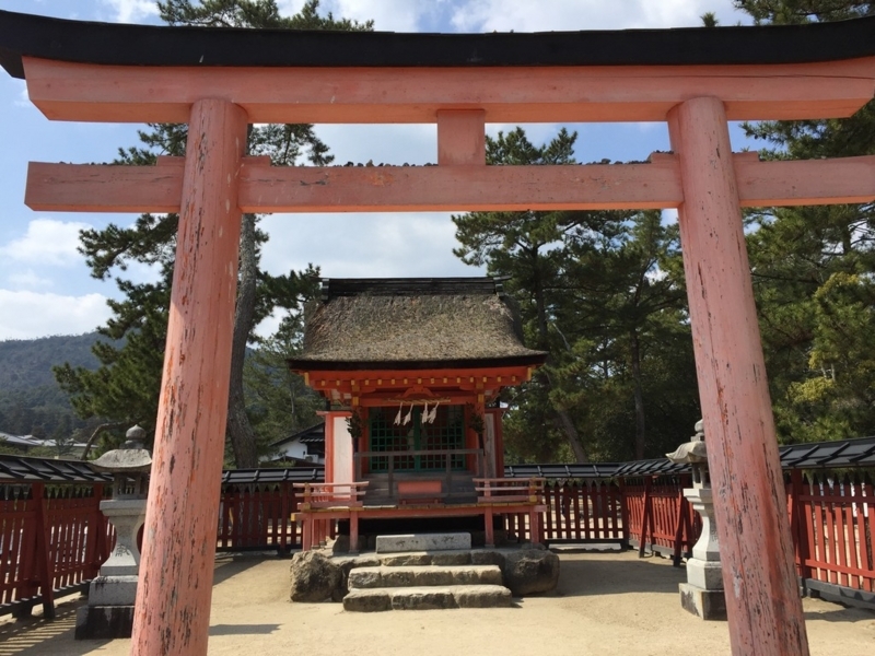 画像を等倍で表示します 画像