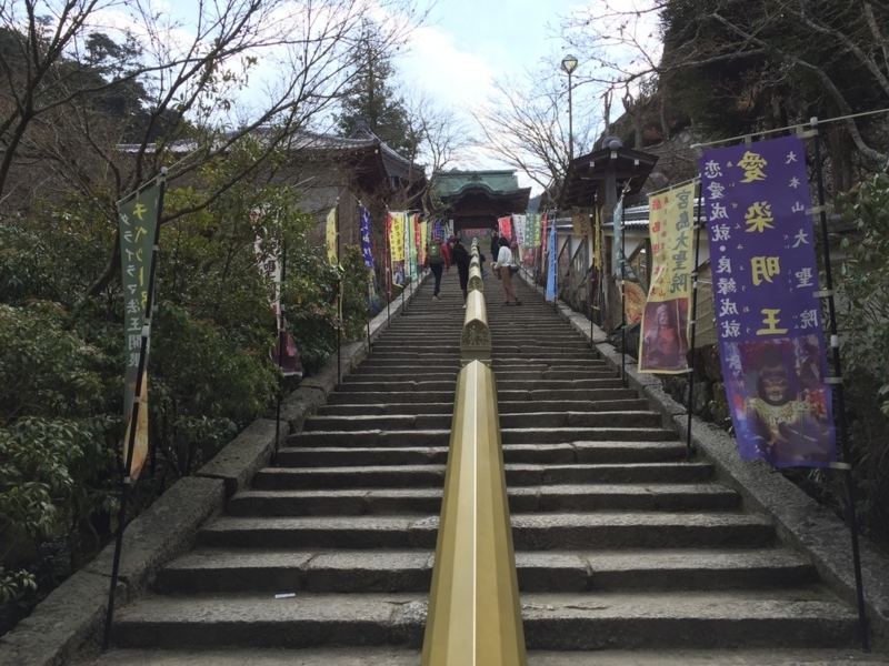 画像を等倍で表示します 画像