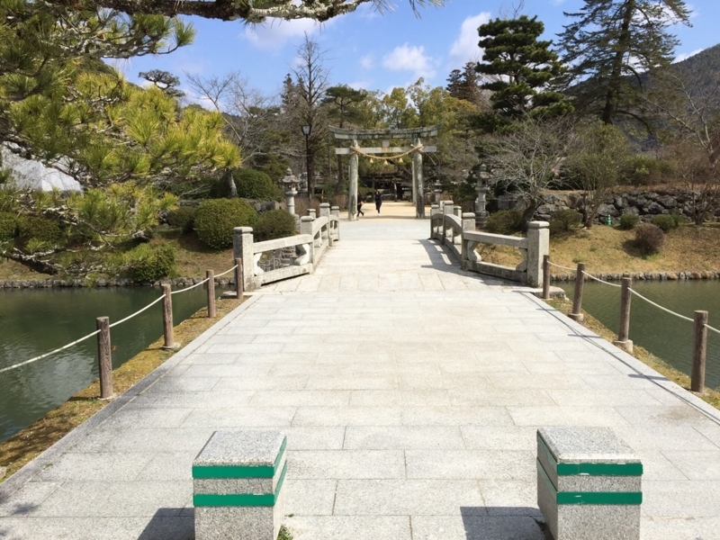画像を等倍で表示します 画像