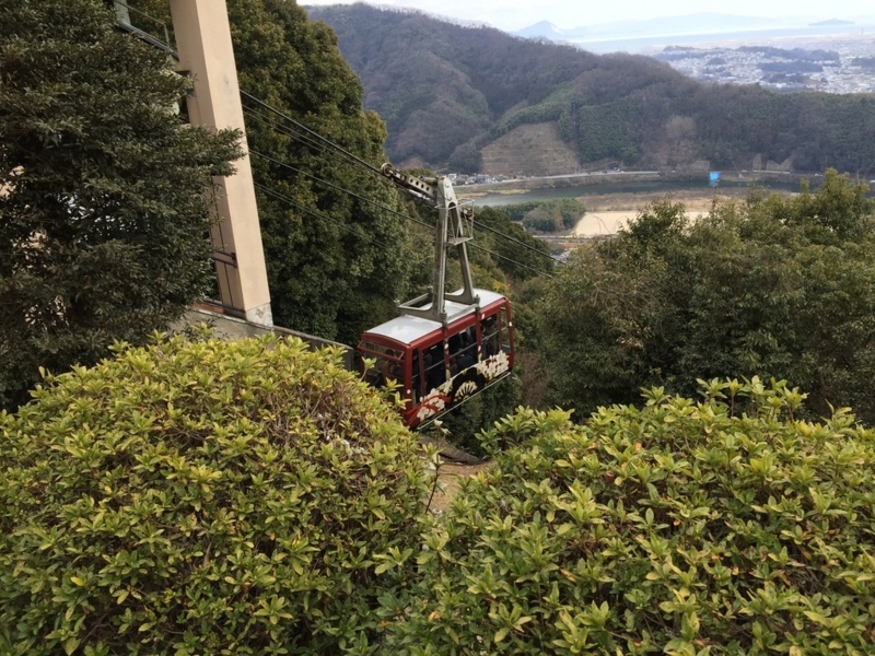 画像を等倍で表示します 画像