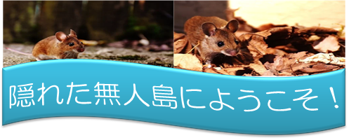 f:id:darucoro9216kun:20200808114454p:plain