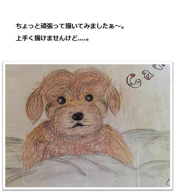 f:id:darucoro9216kun:20200817114825p:plain