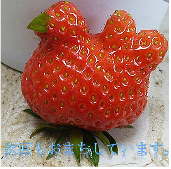 f:id:darucoro9216kun:20200821112202p:plain