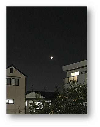 f:id:darucoro9216kun:20201025084310p:plain