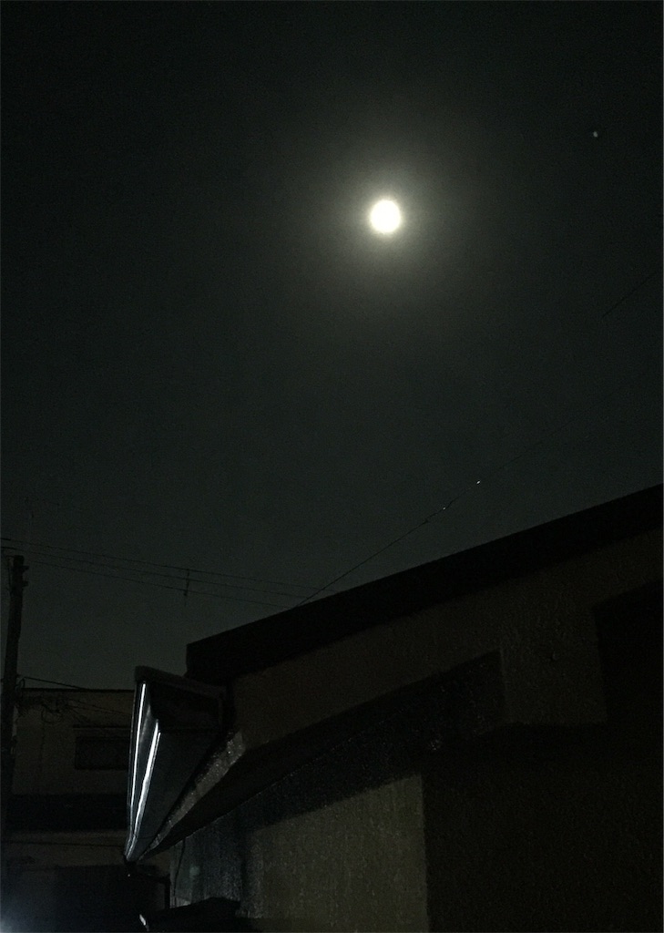 f:id:darucoro9216kun:20201031202040j:image f:id:darucoro9216kun:20201031202040j:image