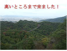 f:id:darucoro9216kun:20201104054232p:plain