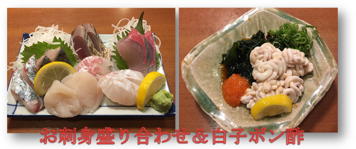f:id:darucoro9216kun:20201106171410p:plain f:id:darucoro9216kun:20201106171410p:plain