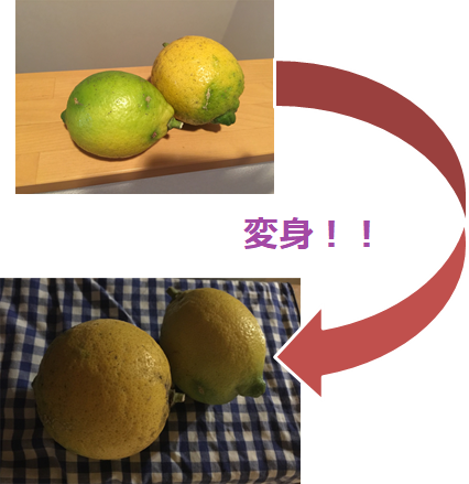 f:id:darucoro9216kun:20201209165720p:plain