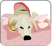 f:id:darucoro9216kun:20201218161820p:plain