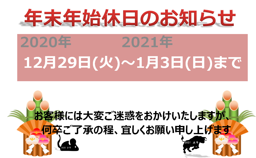 f:id:darucoro9216kun:20201228104106p:plain