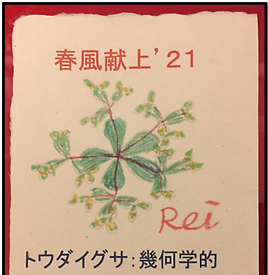 f:id:darucoro9216kun:20210108114949p:plain