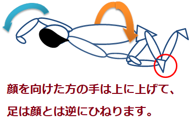 f:id:darucoro9216kun:20210211131345p:plain