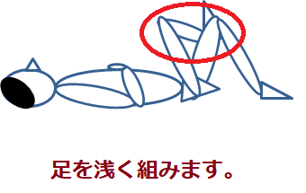 f:id:darucoro9216kun:20210211132006p:plain