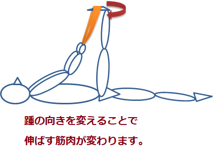 f:id:darucoro9216kun:20210211134718p:plain