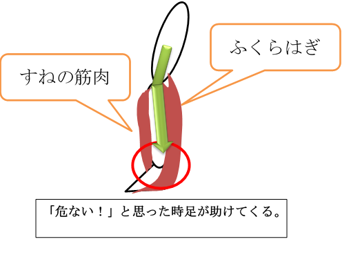 f:id:darucoro9216kun:20210227061103p:plain