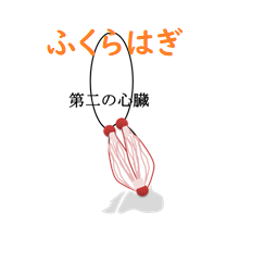 f:id:darucoro9216kun:20210227062633p:plain