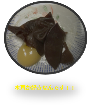 f:id:darucoro9216kun:20210312092022p:plain