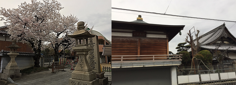 f:id:darucoro9216kun:20210329164443p:plain