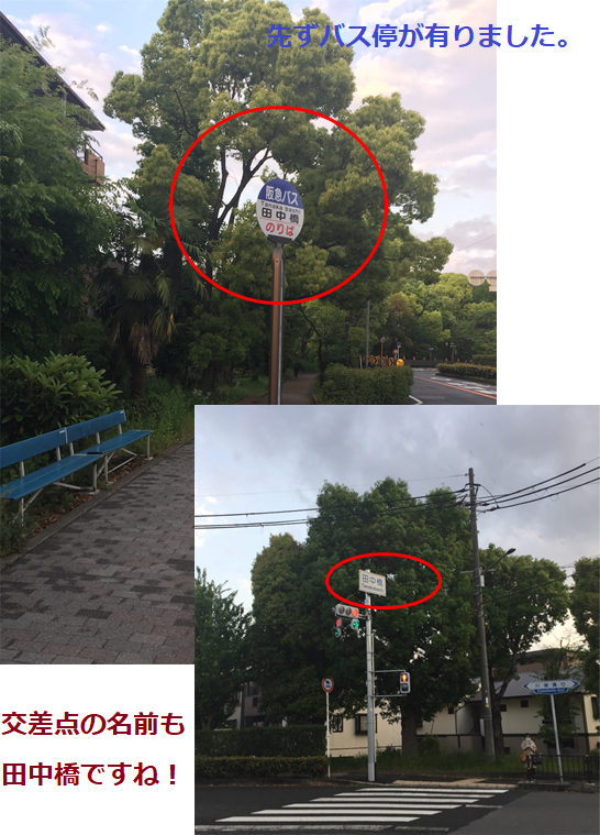 f:id:darucoro9216kun:20210505155814p:plain