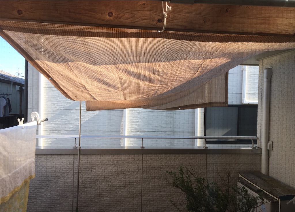 f:id:darucoro9216kun:20210725161532j:image f:id:darucoro9216kun:20210725161532j:image