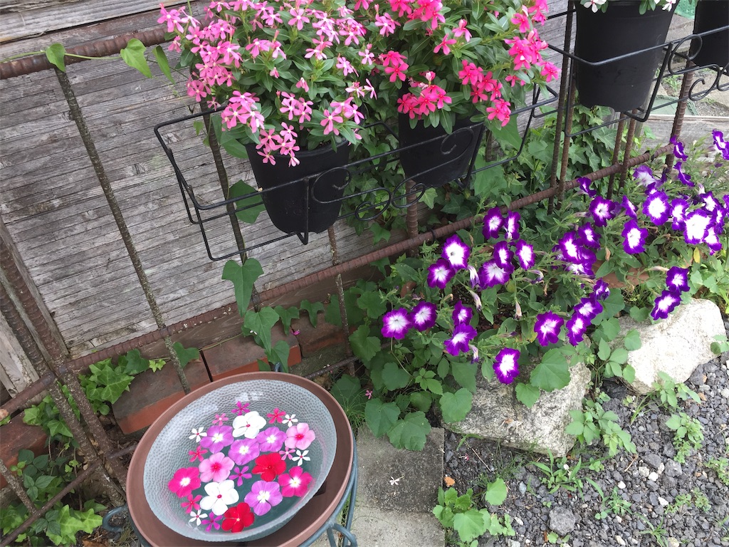 f:id:darucoro9216kun:20210802160200j:image